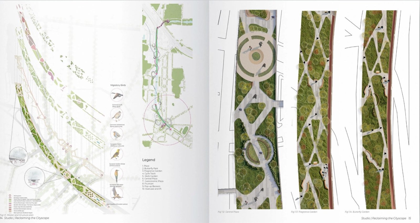 Urban master plan study