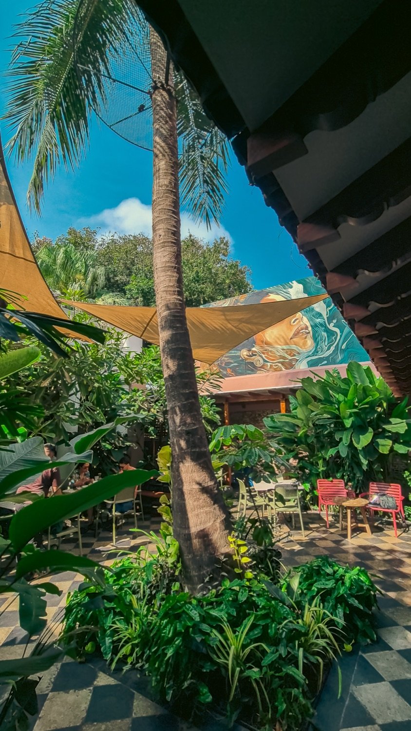 Courtyard with a tall palm, shade sails and a mural wall